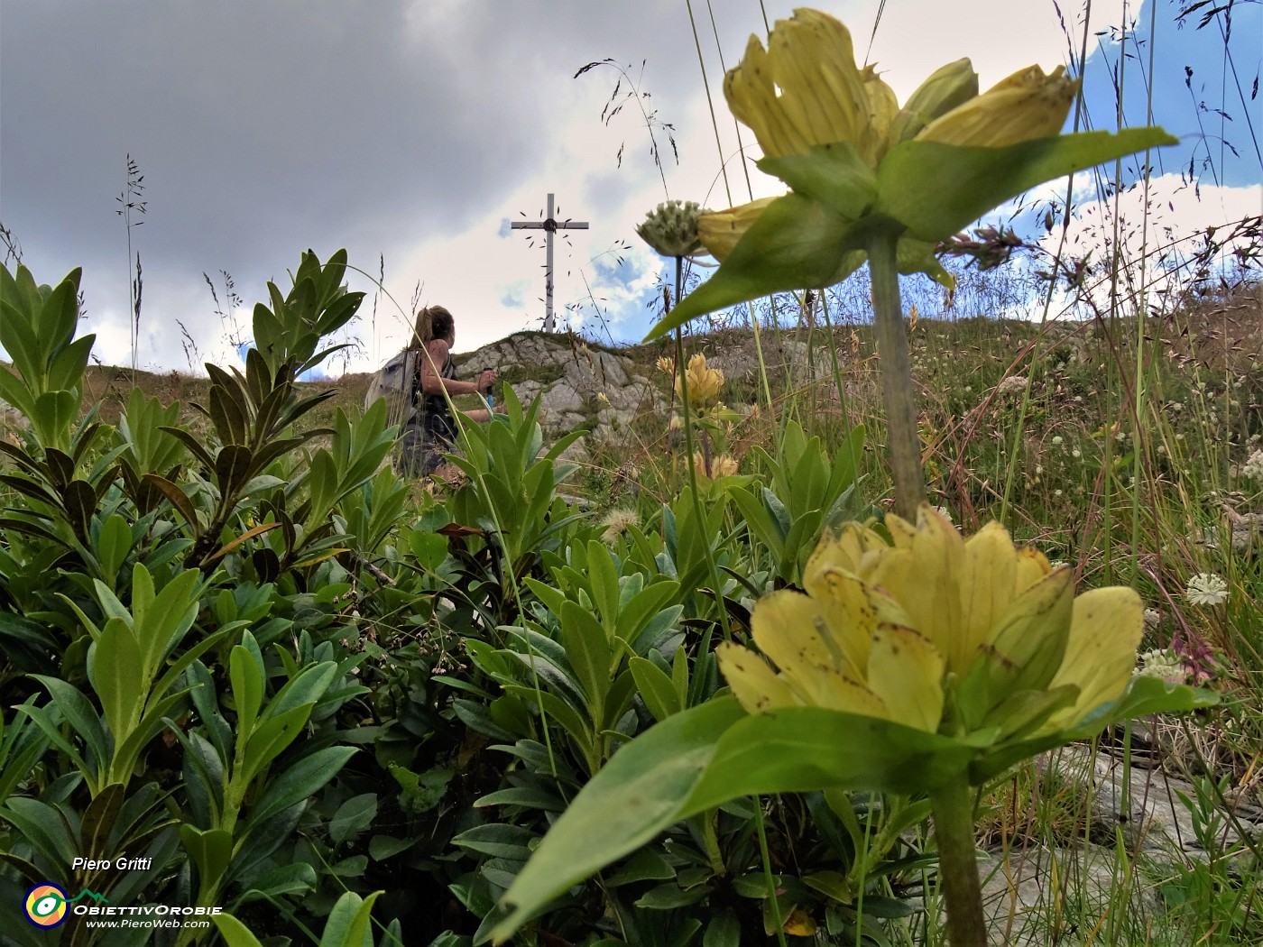 46 Gentiana punctata (Genziana maculata) con vista sulla  croce del Passo di Tartano.JPG